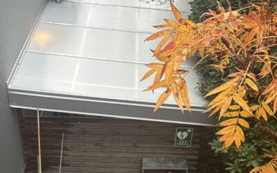 Tvätt av pergola tak med SoftWash i Göteborg